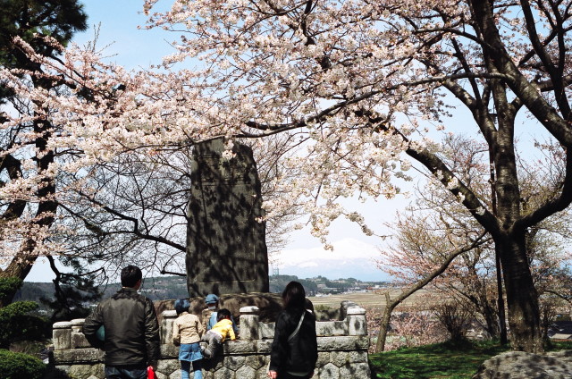 桜の尾浦八景から鳥海山