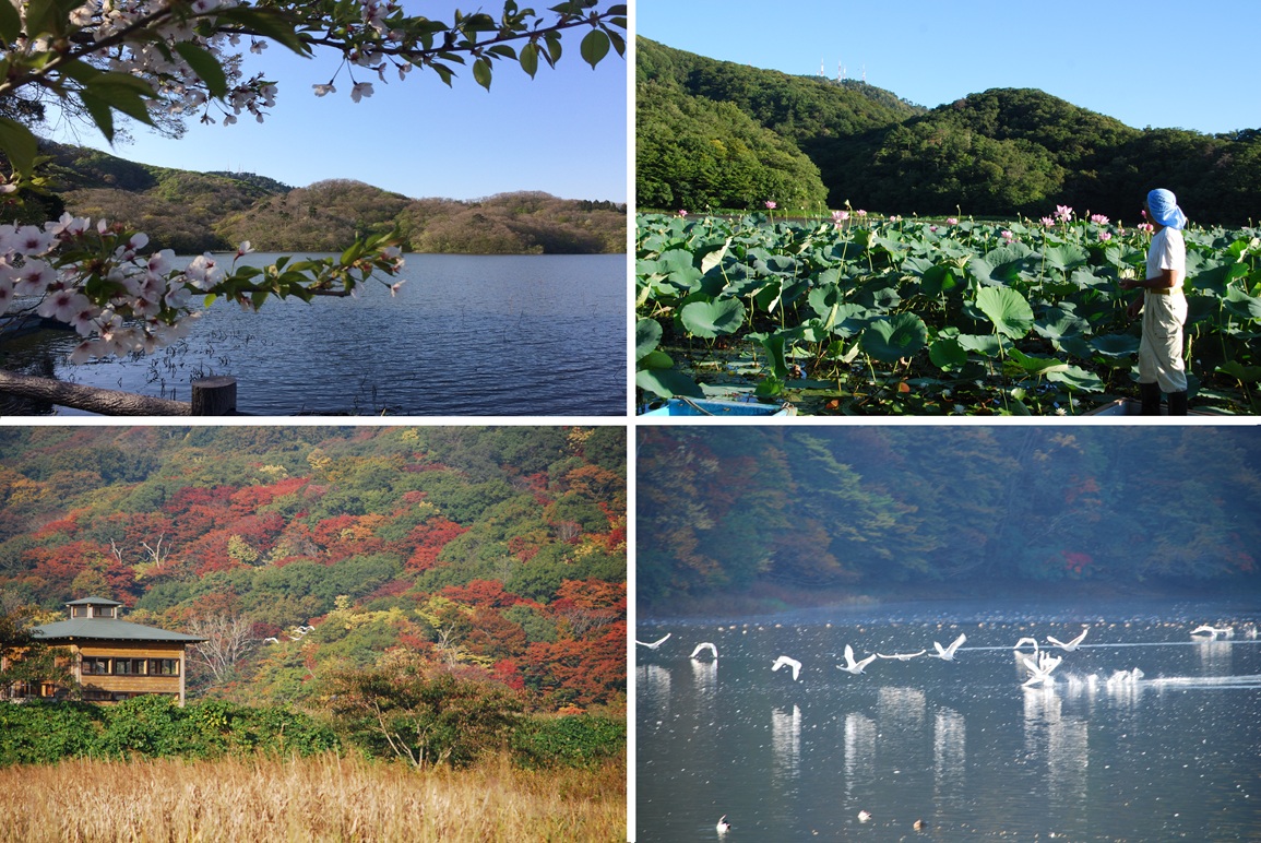 ラムサール条約登録湿地 上池と下池